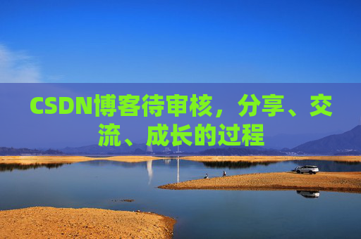 CSDN博客待审核，分享、交流、成长的过程